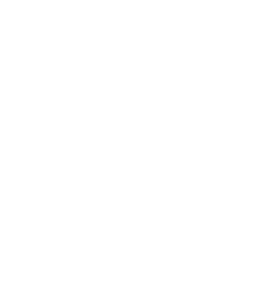 City Of Tampa