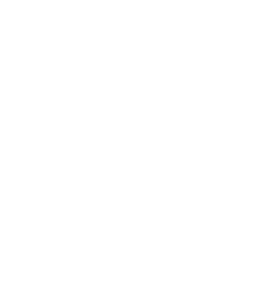 YBOR City
